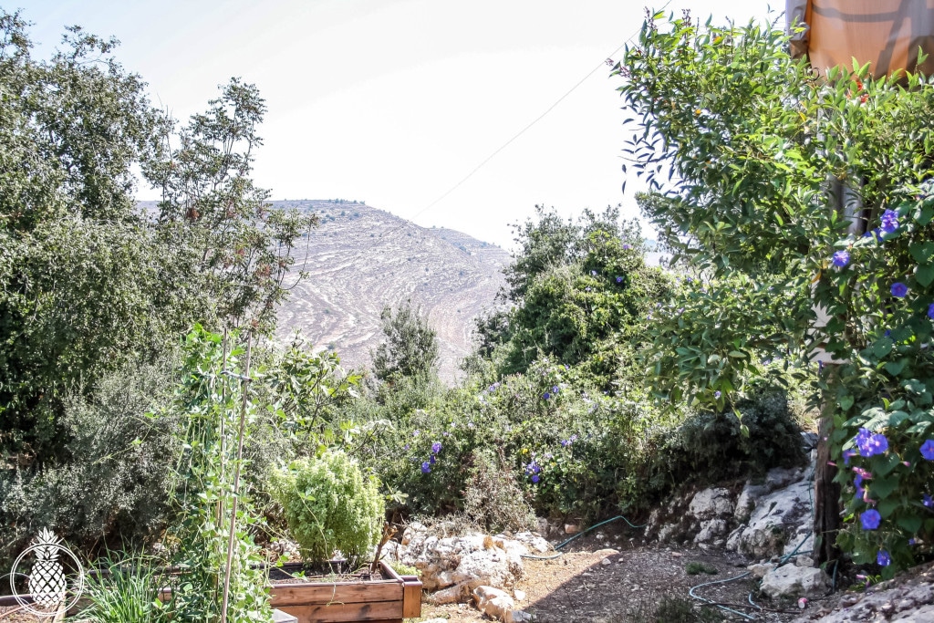 ISRAEL : Rama’s Kitchen - The Best Brunch Experience - Hedonistit