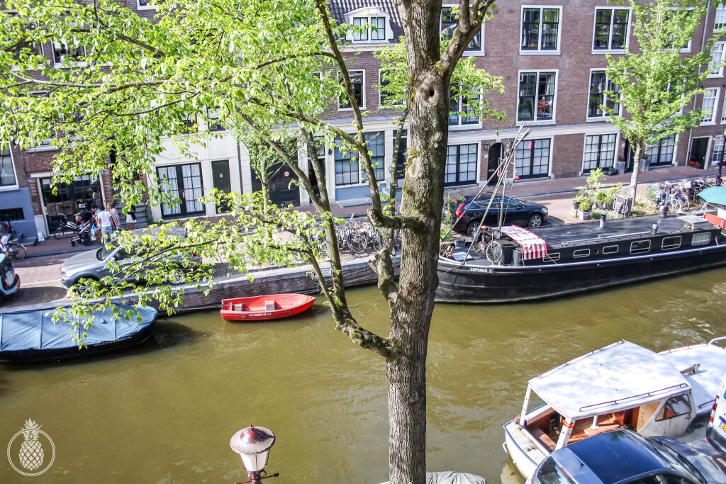 a trip to amsterdam טיול באמסטרדם