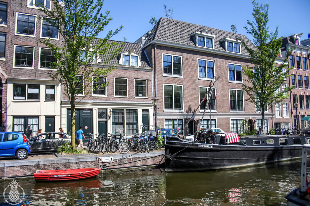 a trip to amsterdam טיול באמסטרדם