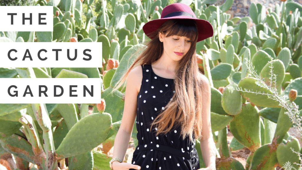 The Cactus Garden - Cactus summer fling photoshoot - toverall -- mango, shoes-- bershka, hat-- forever 21