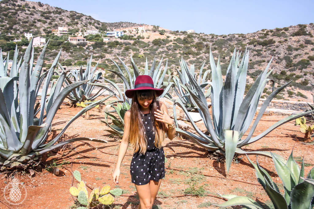 toverall -- mango, shoes-- bershka, hat-- forever 21Cactus summer fling photoshoot - 