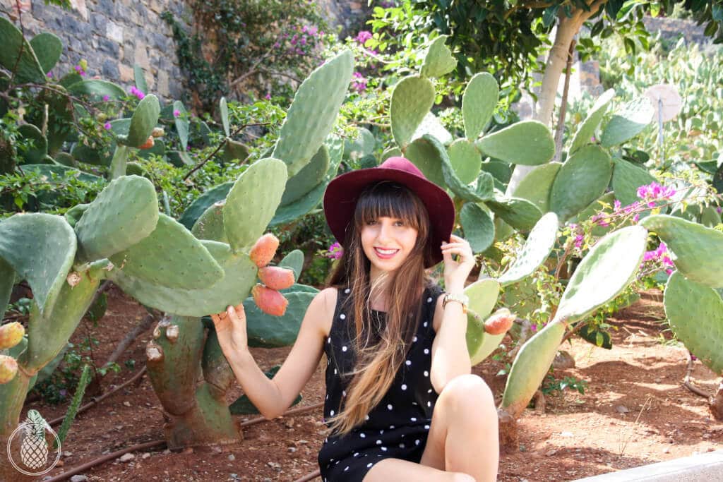 toverall -- mango, shoes-- bershka, hat-- forever 21Cactus summer fling photoshoot - 