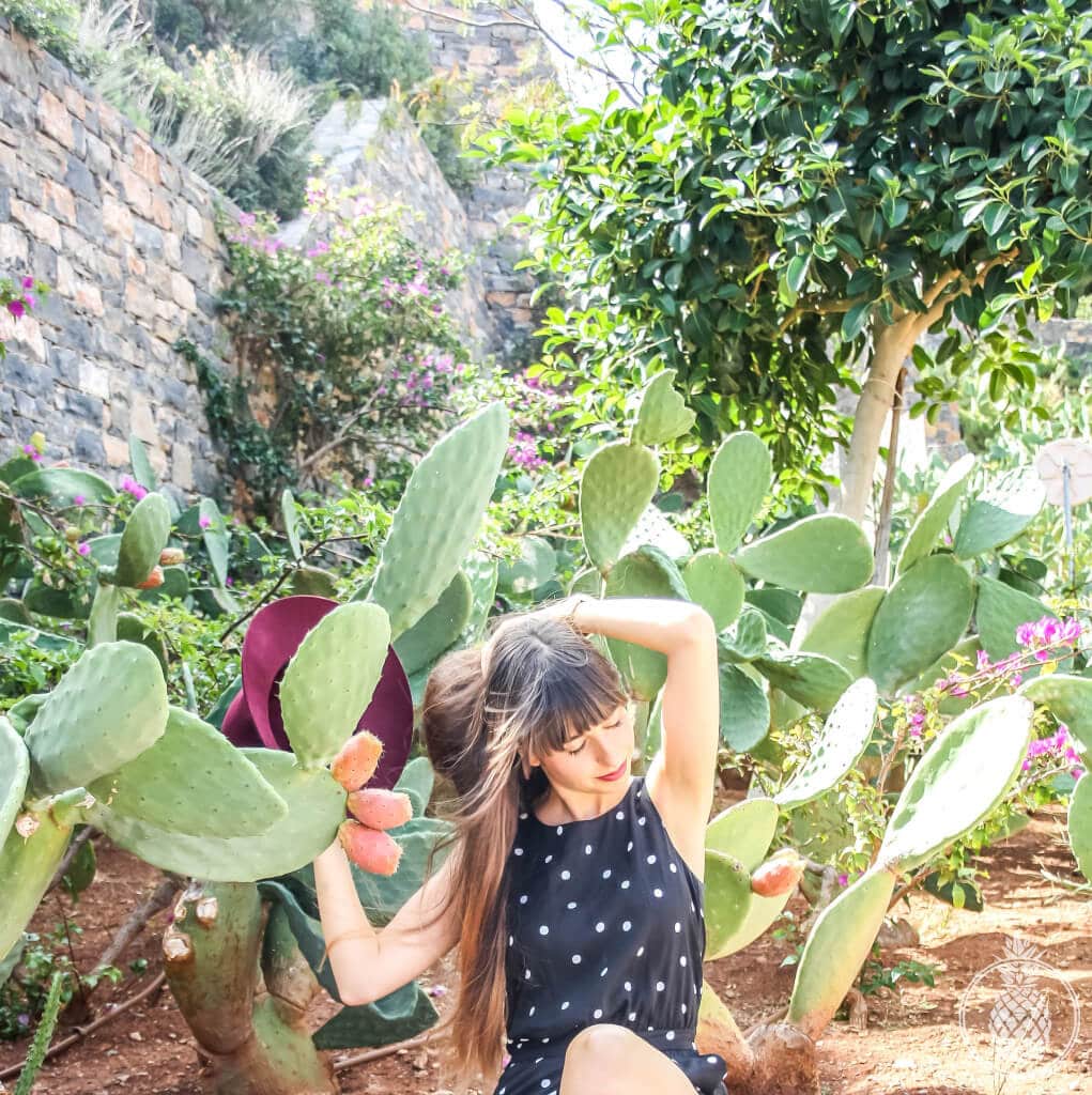 toverall -- mango, shoes-- bershka, hat-- forever 21Cactus summer fling photoshoot - 