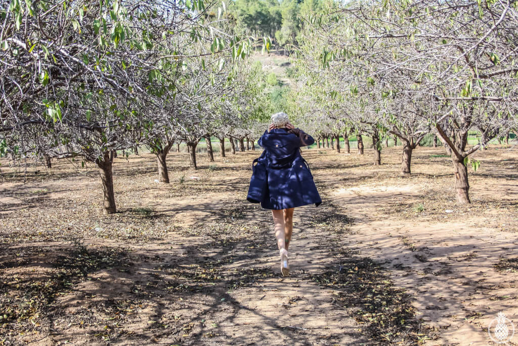winter at the pecan forest photoshoot fashion