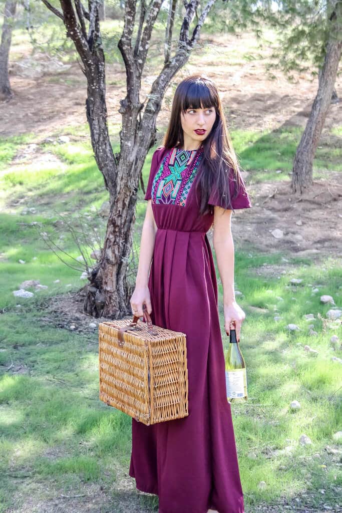 PICNIC IN THE MIDDLE OF WINTER EDITORIAL - RONI KANTOR DRESS 