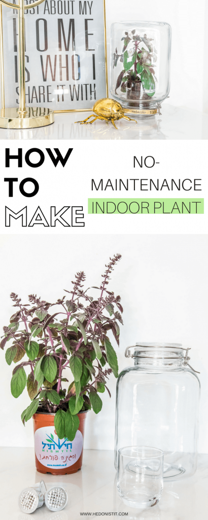 Pikaplant Jar DIY - make your own no-maintenance indoor plant at home! this unique plant has its own watering system - such a cool home decor idea - check out the full tutorial @ hedonistit.com