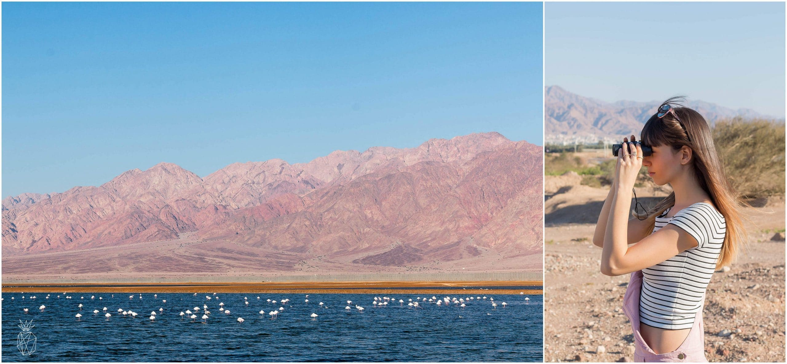 What to do in Eilat, Israel - reconnect with desert nature
