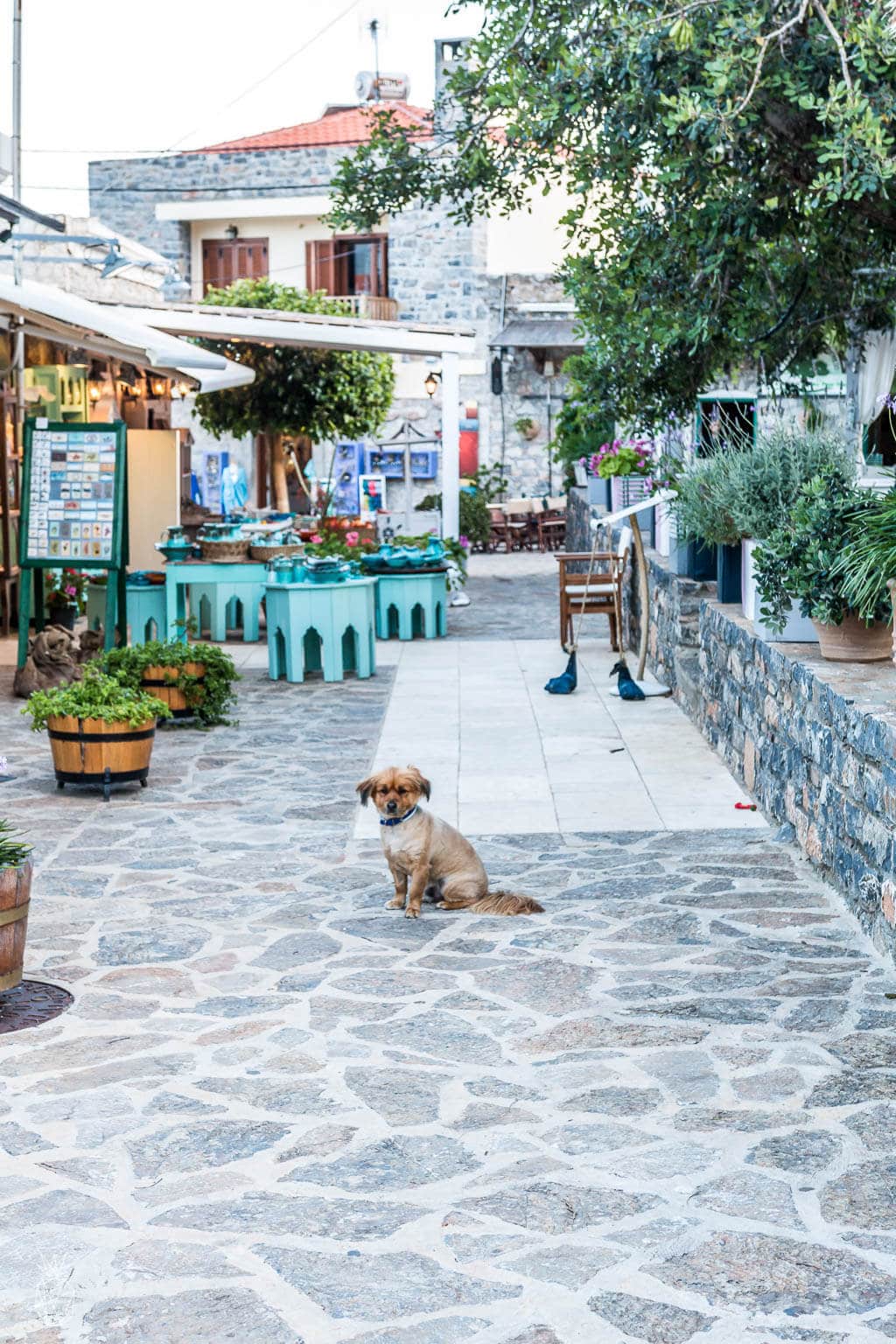 Greece - 20 Photos to Inspire You to Visit Crete