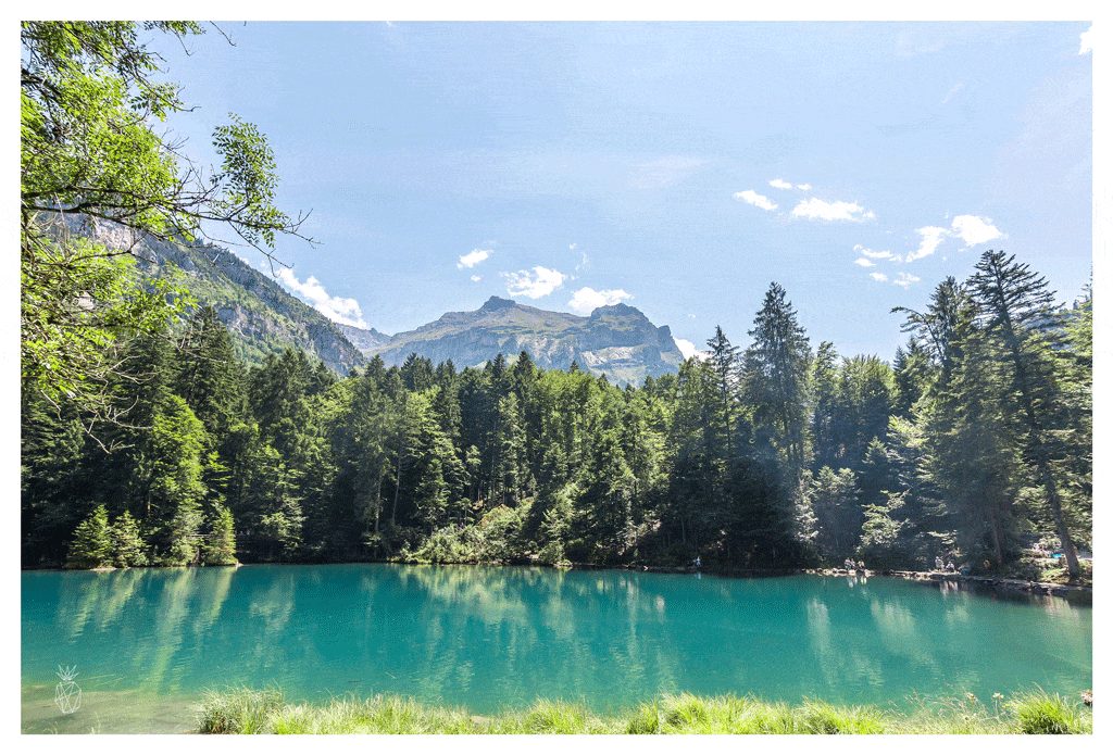 Adelboden Switzerland - a summer trip guide in the Swiss AlpsAdelboden Switzerland - a summer trip guide in the Swiss Alps