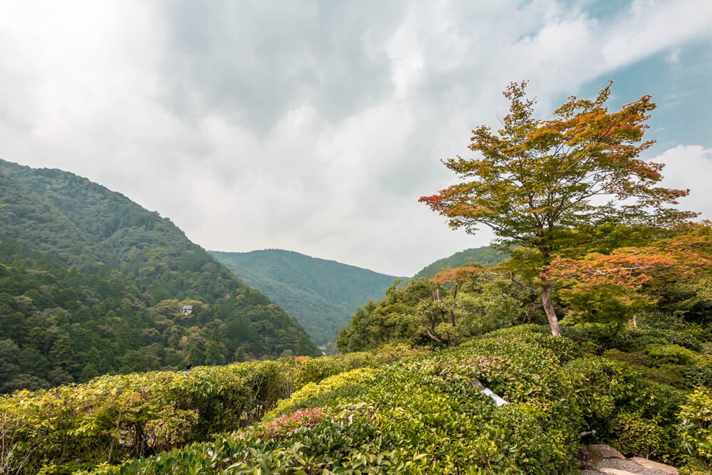 20 Photos to Inspire You to Visit Kyoto Japan | Arashiyama